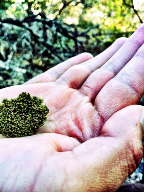 we were so unprepared